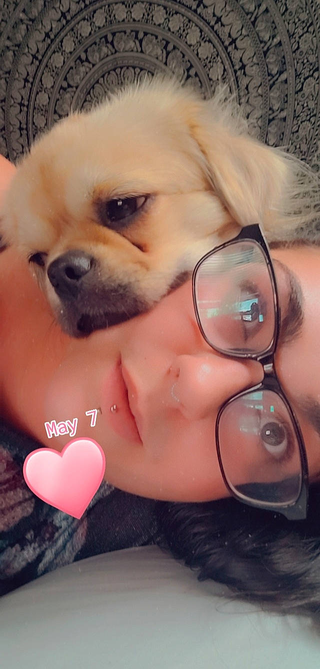 Kozmo joined the competition — help win amazing prizes! carnivore, companion_dog, dog, eyebrow, eyelash, facial_expression, fawn, finger, gesture, glasses, goggles, hair, hand, happy, lip, mouth, nose, skin, sunglasses, vision_care