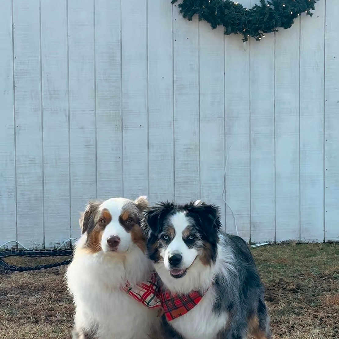 Cash And Waylon