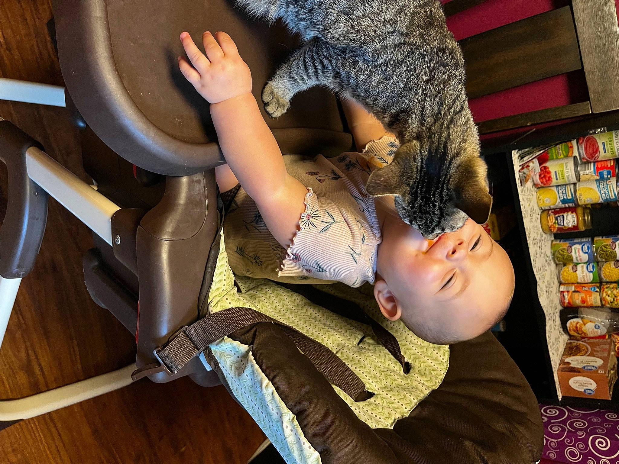 Madelynn is registered to the contest to win money with this photo: auto_part, automotive_tire, automotive_wheel_system, child, fun, hat, human_leg, knee, leisure, person, pipe, room, shelf, sitting, sun_hat, thigh, toddler, toy, tree, vehicle_door
