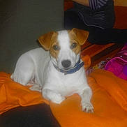 Gomette participe au concours pour gagner de l'argent avec cette photo :