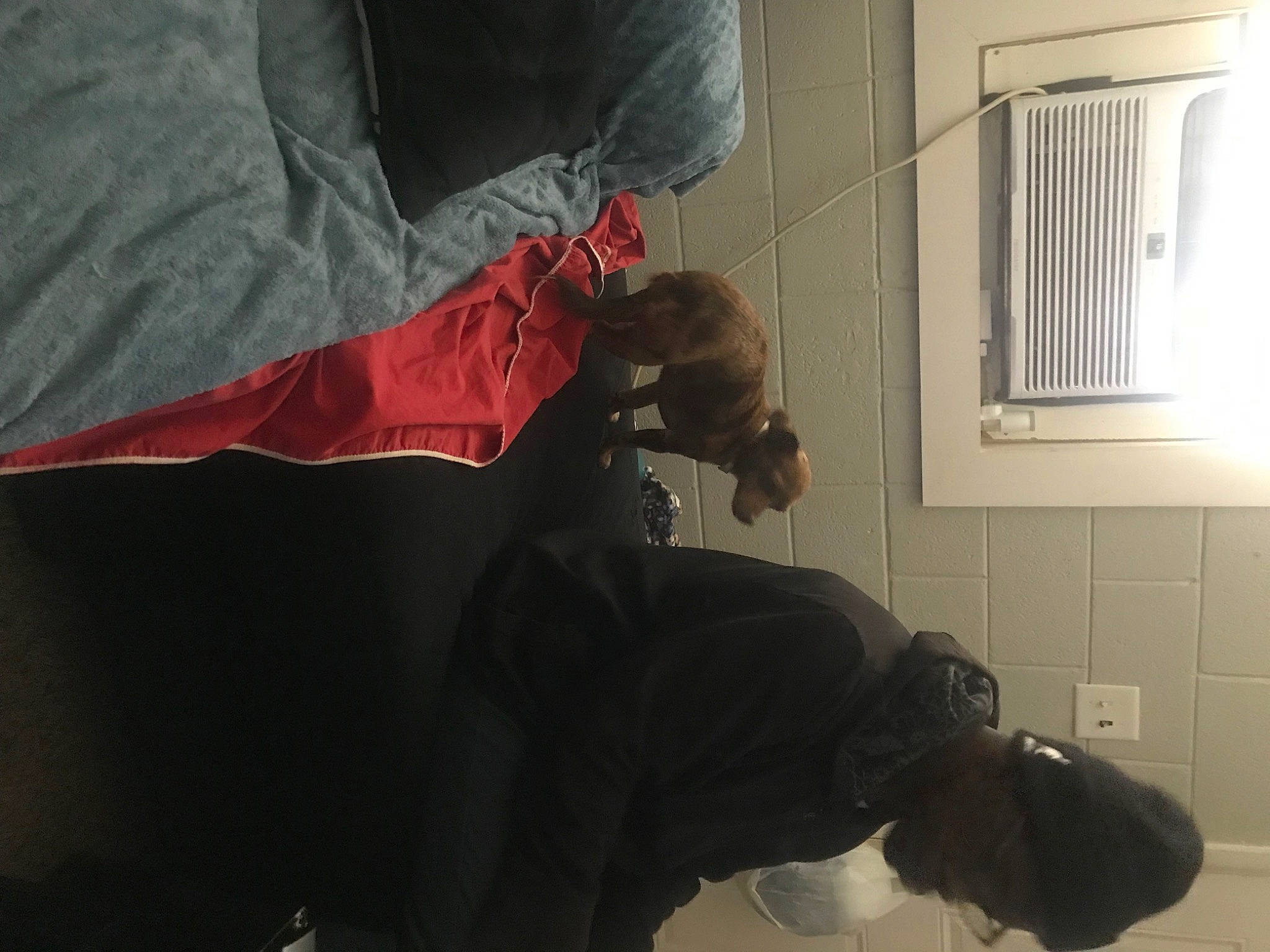 Missy is registered to the contest to win money with this photo: carmine, comfort, event, flag, flooring, room, shadow, tints_and_shades, window