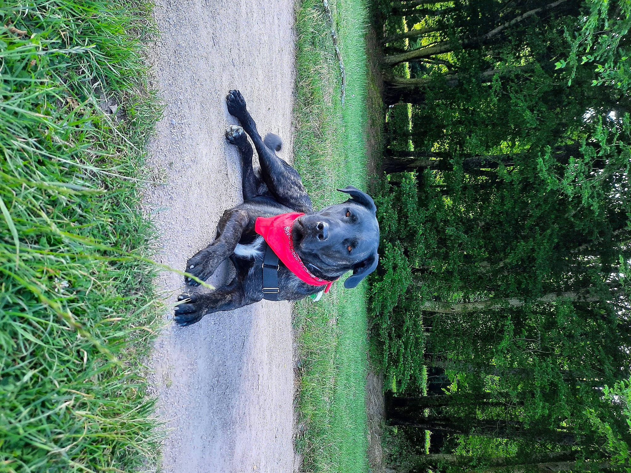 Octopus a rejoint le concours — aidez-le/la à gagner de superbes lots ! adventure, extreme_sport, forest, grass, helmet, jungle, leisure, people_in_nature, personal_protective_equipment, plant, recreation, tree, water