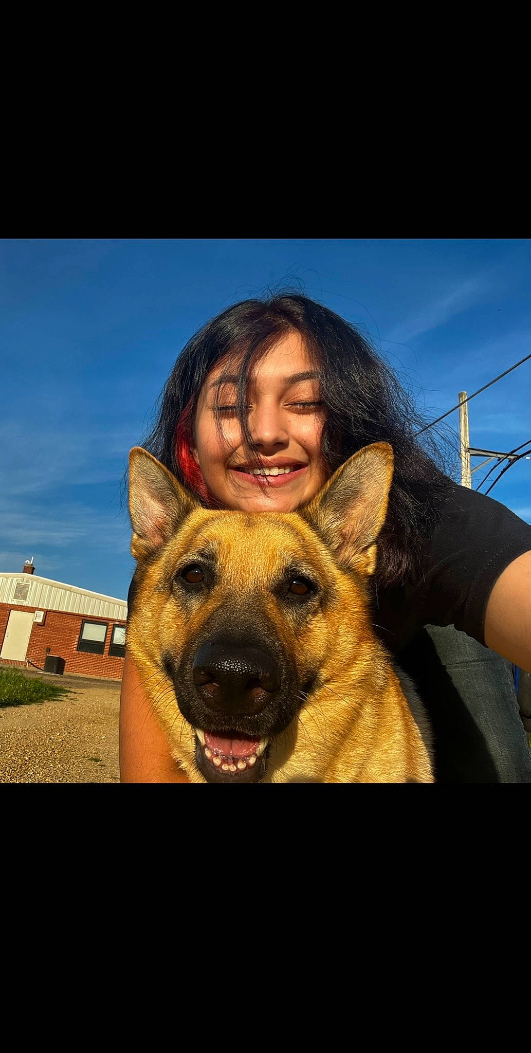 Venus is registered to the contest to win money with this photo: canidae, carnivore, companion_dog, dog, dog_breed, fawn, flash_photography, fun, german_shepherd_dog, gesture, happy, herding_dog, jaw, selfie, sky, smile, snout, sporting_group, vertebrate, window