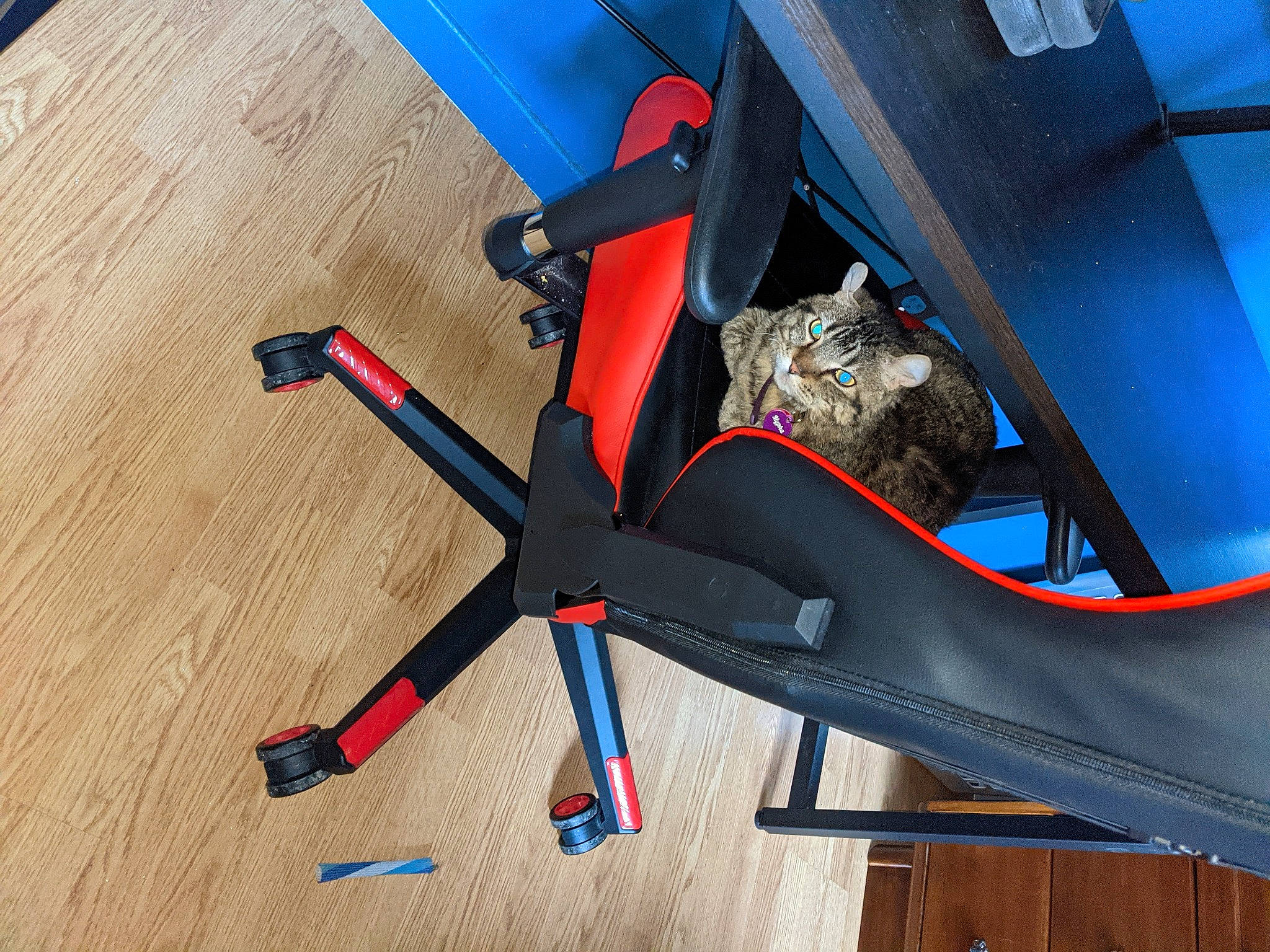 Mypha a rejoint le concours — aidez-le/la à gagner de superbes lots ! auto_part, automotive_exterior, automotive_tire, bicycle_frame, bicycle_handlebar, bicycle_part, bicycle_tire, bumper, carbon, chair, drone, electric_blue, hardwood, hood, motor_vehicle, rim, trunk, vehicle, vehicle_door, wood