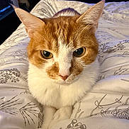 Hercules joined the competition — help win amazing prizes!