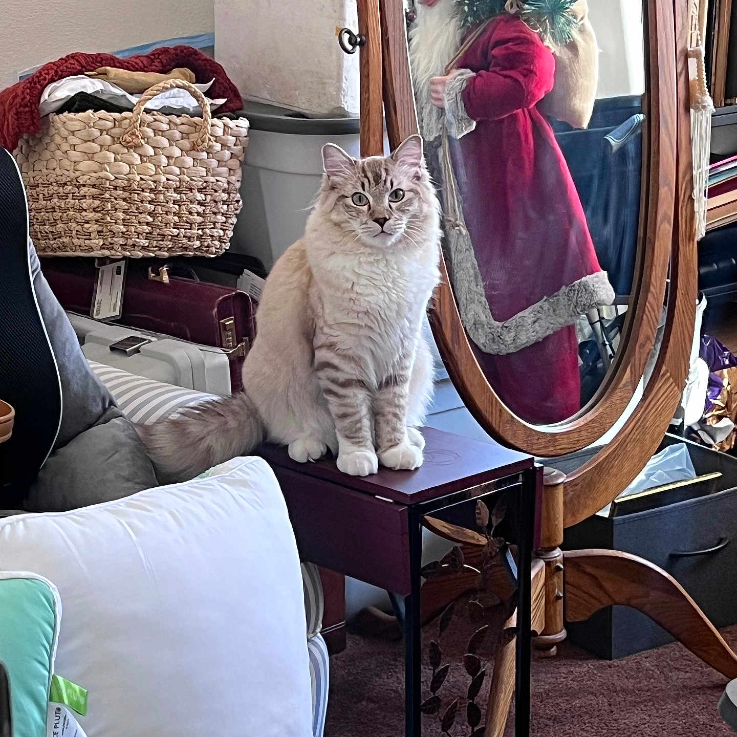 Meowington