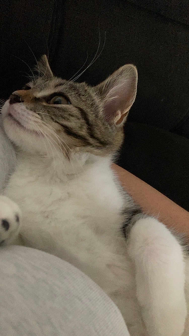 Roxy