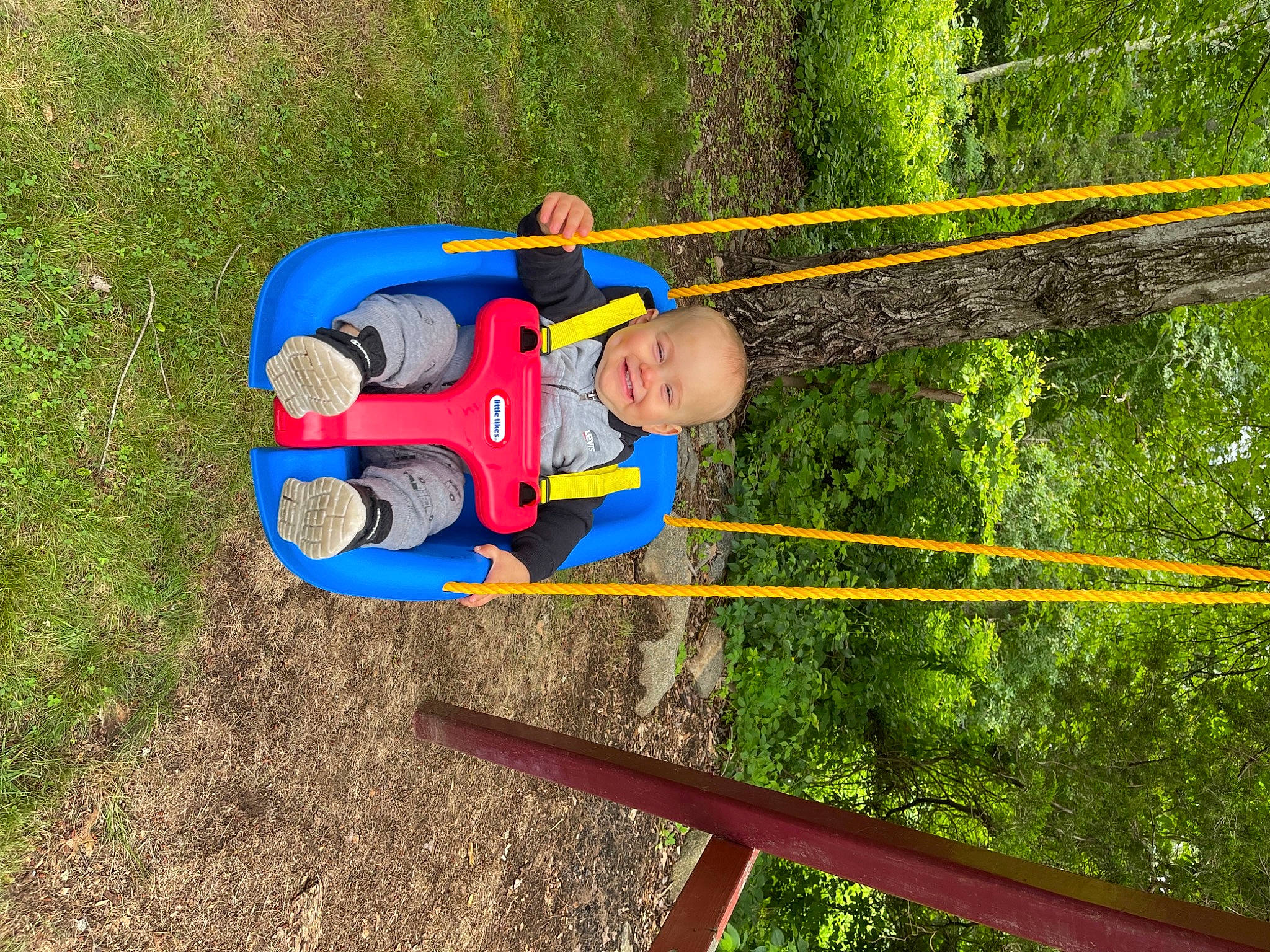 Lincoln is registered to the contest to win money with this photo: baby, child, city, fictional_character, forest, fun, grass, joy, leisure, nature, outdoor_play_equipment, outdoor_recreation, people_in_nature, person, plant, play, playground, recreation, soil, t_shirt