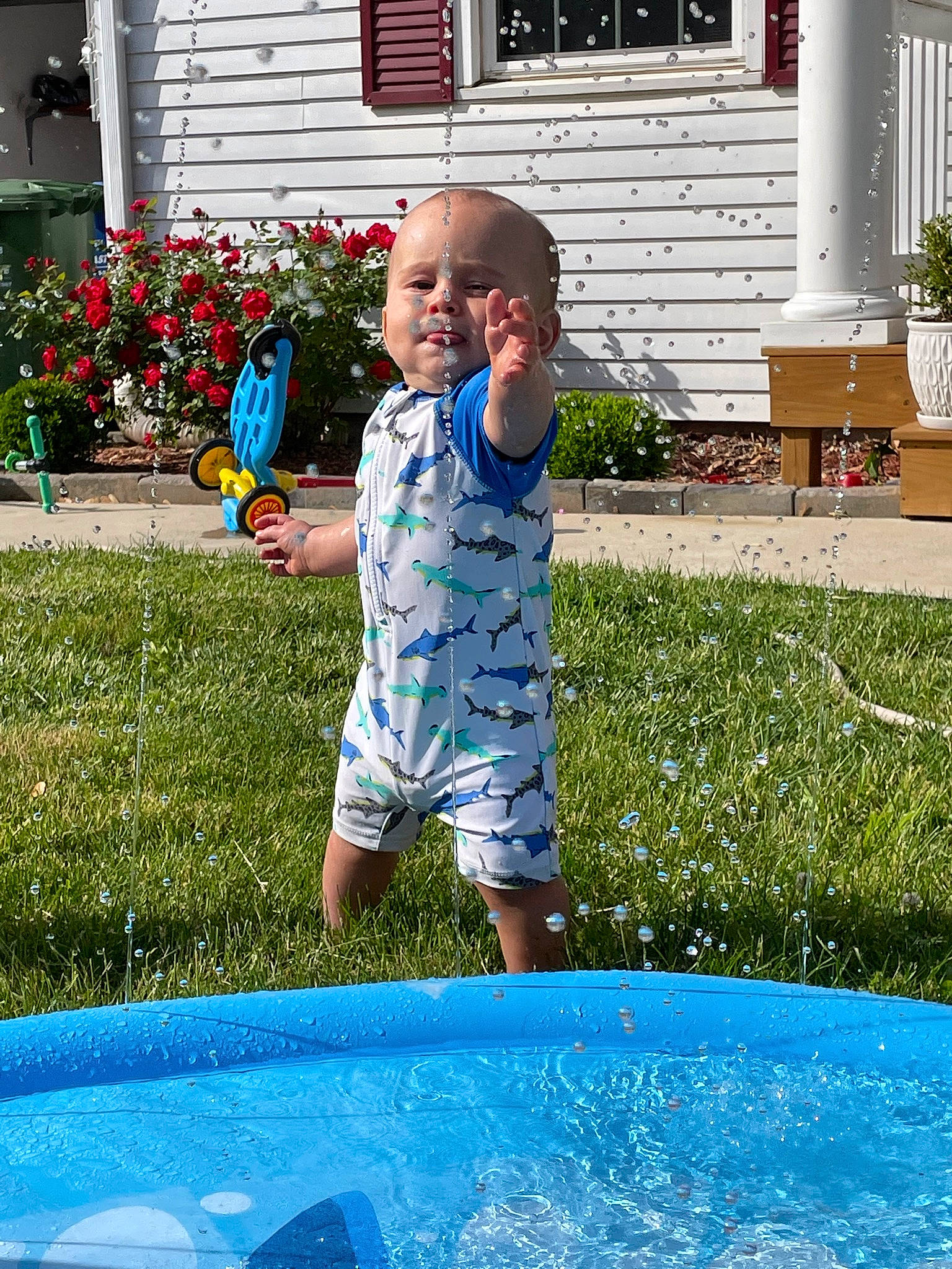 Lincoln is registered to the contest to win money with this photo: blue, door, electric_blue, flower, flowerpot, fun, grass, green, houseplant, lawn, leisure, people_in_nature, person, plant, recreation, shorts, smile, summer, toddler, water