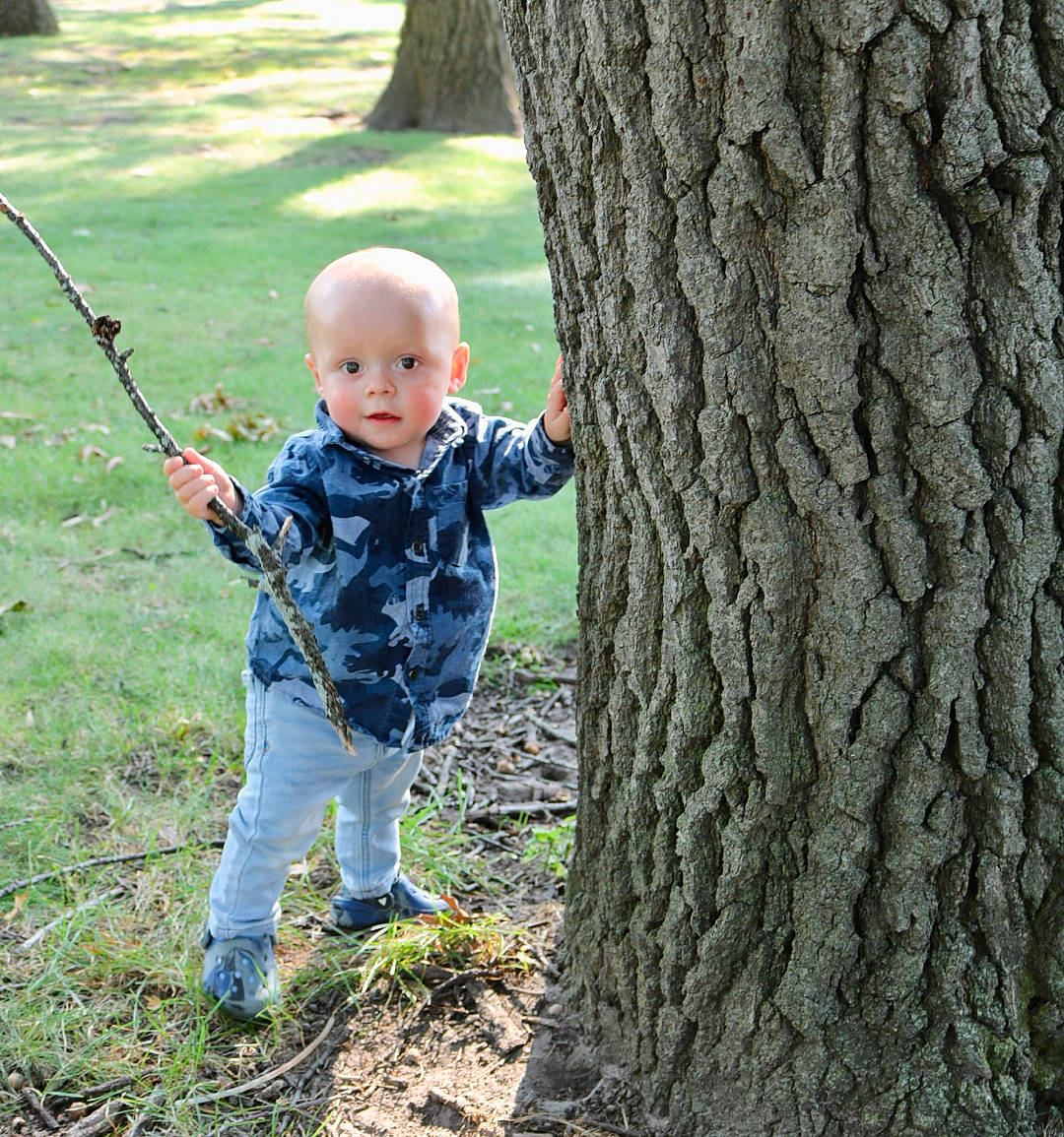 Caspian joined the competition — help win amazing prizes! baby, baby_toddler_clothing, botany, branch, forest, fun, grass, green, happy, nature, people_in_nature, person, plant, standing, toddler, tree, trunk, wood, woodland, woody_plant