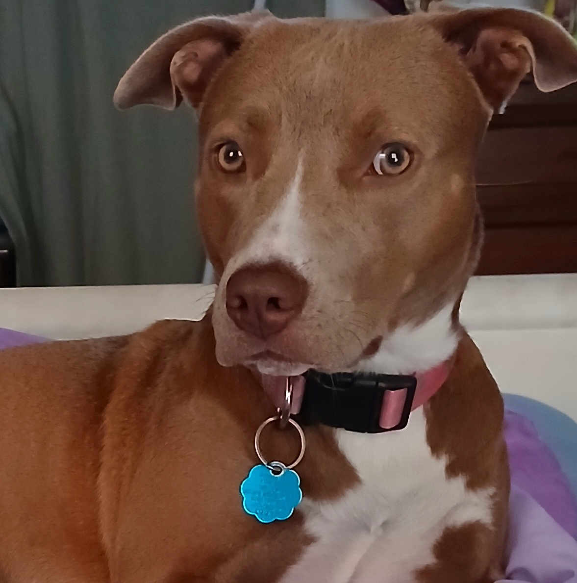Nala