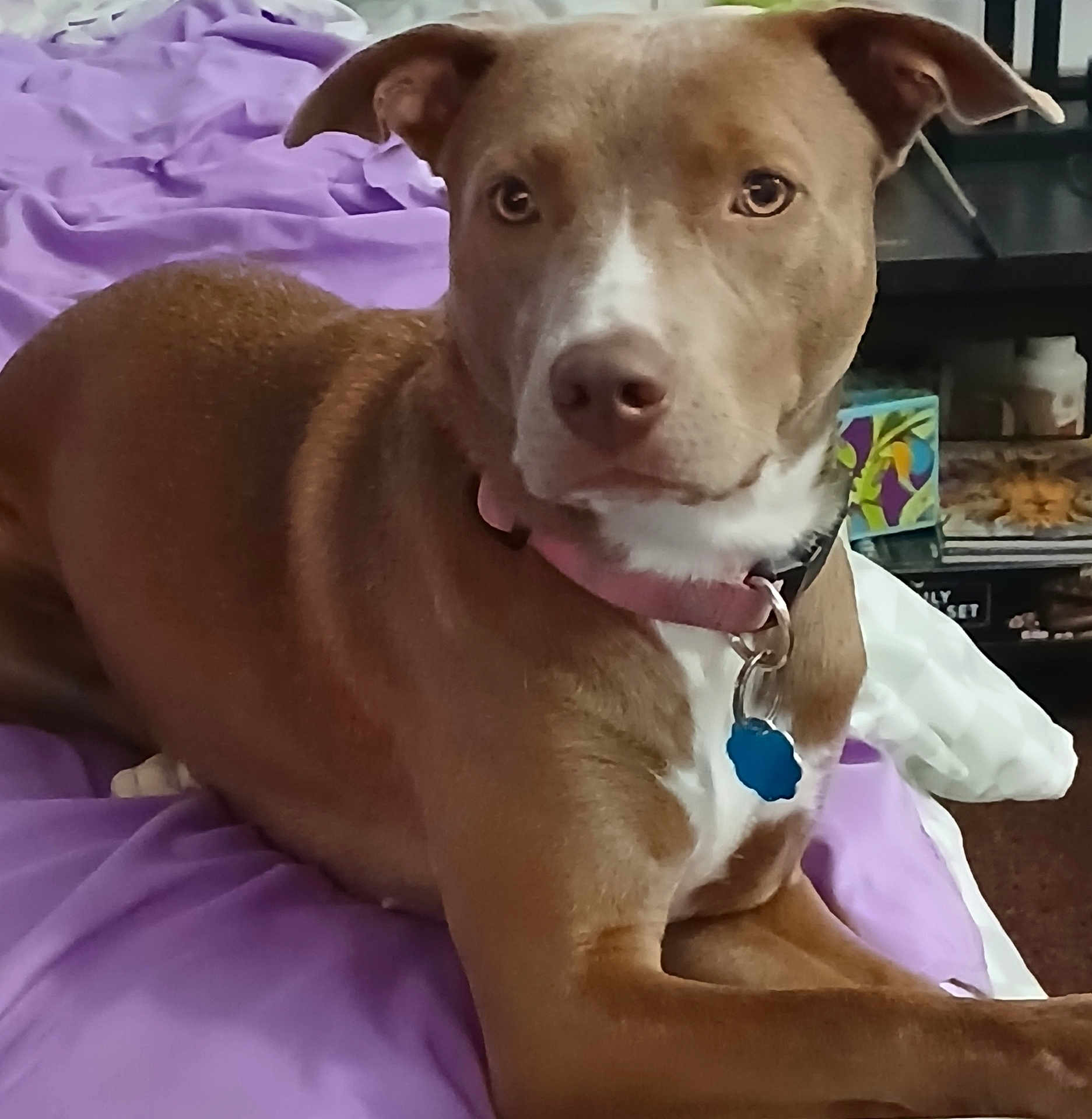 Nala