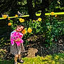 child, girl, yellow_roses, flower_bush, plush_toy, pink_toy, leopard_print_dress, sandals, park, tree, grass, sunlight, shadow, nature, outdoor, smiling, happy, greenery, bench, people