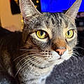 Emma M.