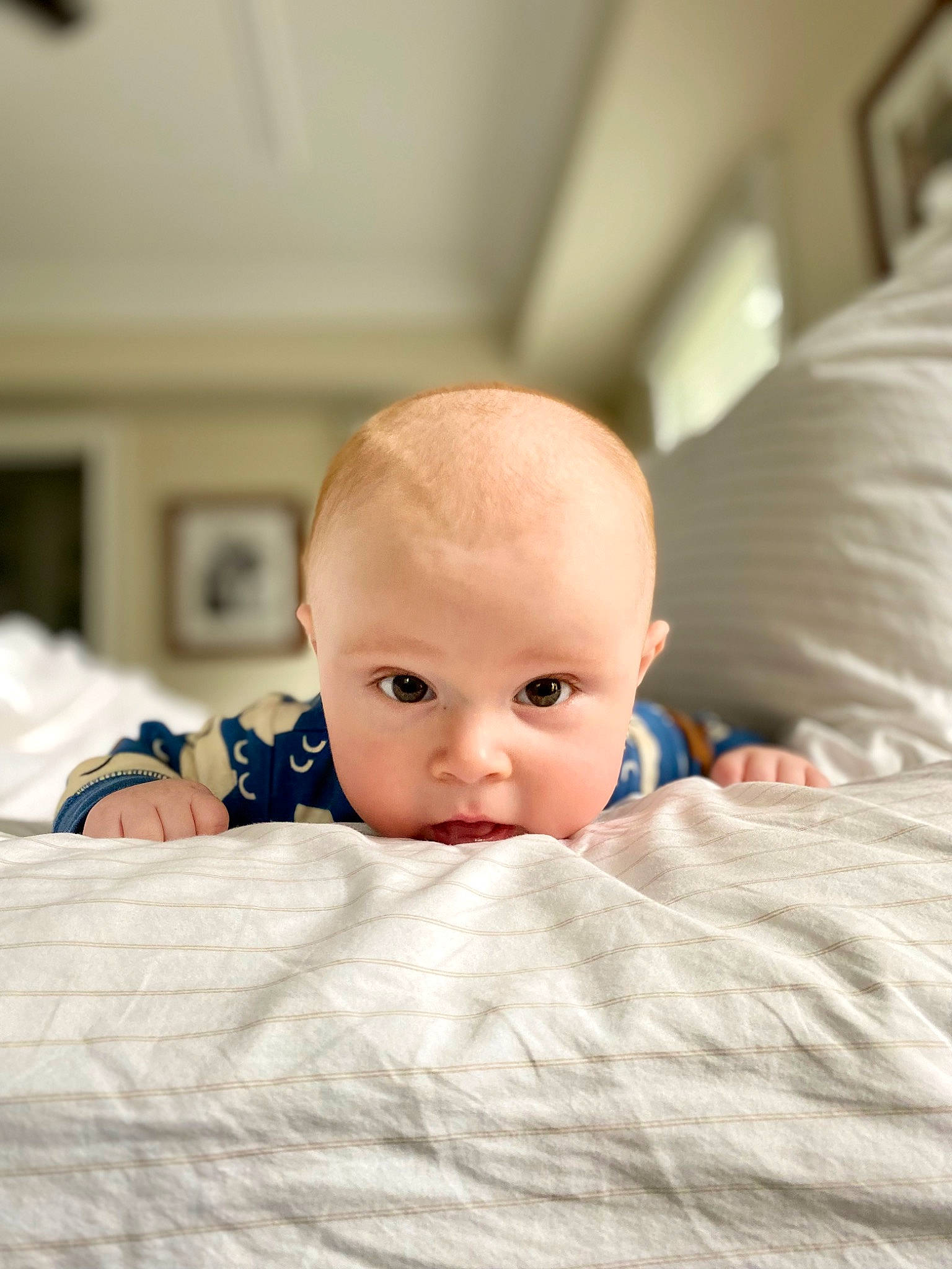 Theodore joined the competition — help win amazing prizes! baby, bedding, child, chin, comfort, flash_photography, flooring, fun, fur, happy, linens, nose, person, portrait_photography, room, selfie, sitting, skin, toddler, vacation