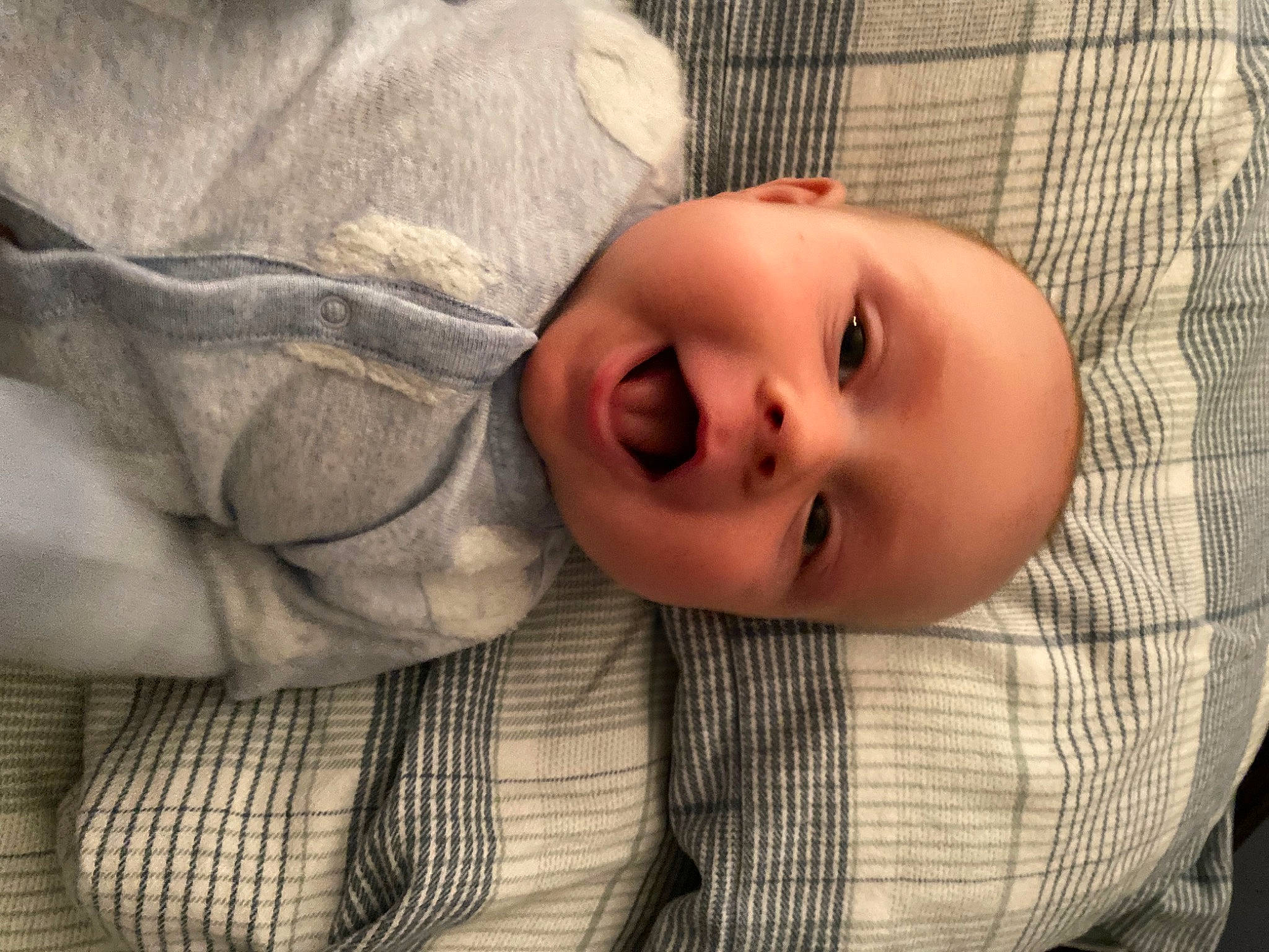 Theodore is registered to the contest to win money with this photo: baby, baby_products, baby_safety, baby_toddler_clothing, cheek, child, comfort, eyelash, grass, linens, lip, nose, pattern, person, plaid, portrait_photography, skin, sleeve, smile, tartan