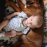Abbey Girl is registered to the contest to win money with this photo: animal, baby, bed, blanket, brown_dog, clothing, companion, cuddling, dog, family, happy, human, indoors, infant, lying_down, onesie, pet, portrait, sleeping, smiling