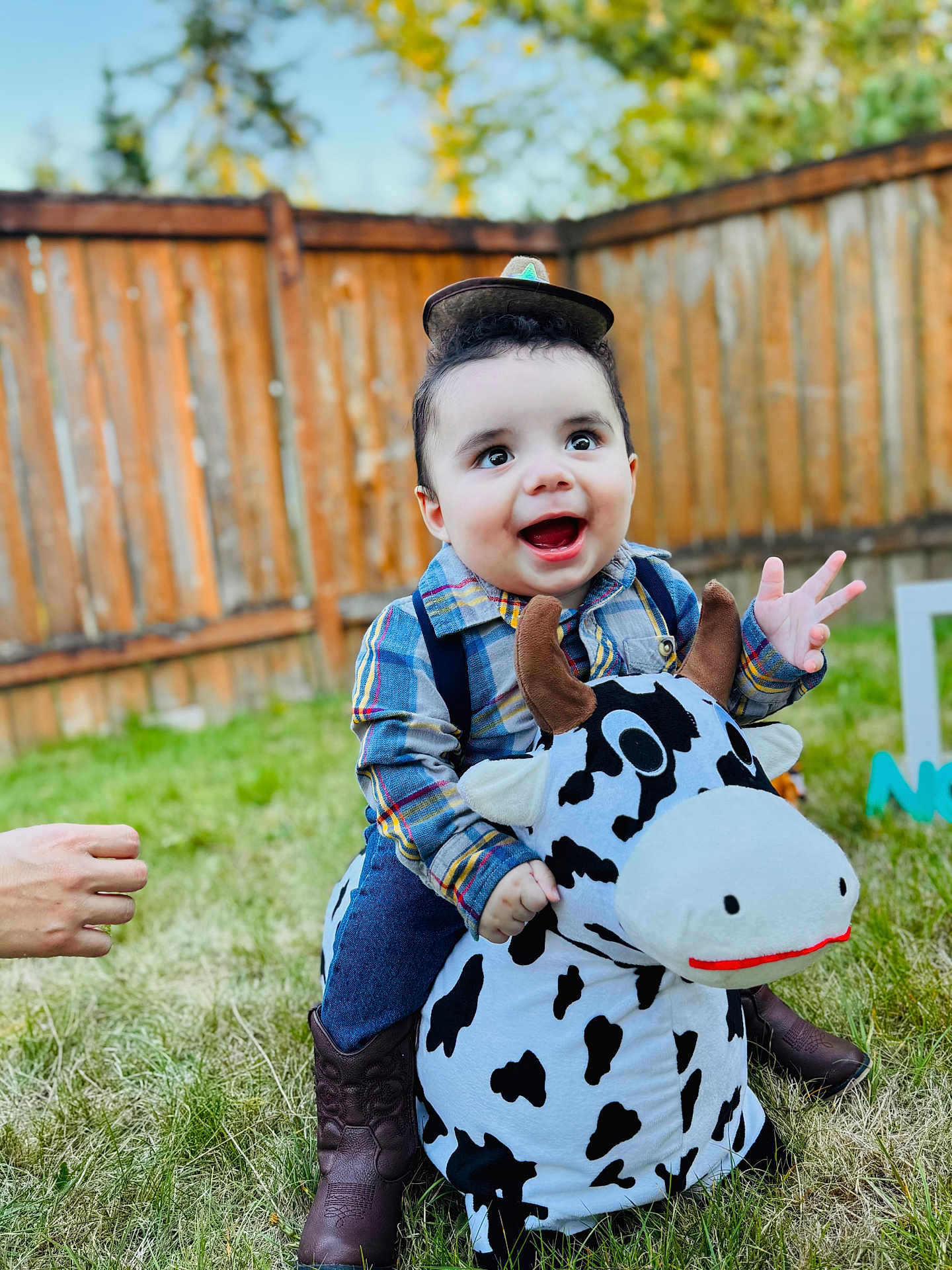Noah is registered to the contest to win money with this photo: toddler, child, cowboy, plush_toy, cow, boots, hat, outdoor, grass, fence, smiling, happy, playing, person, toy, clothing, baby, cute, fun, daytime