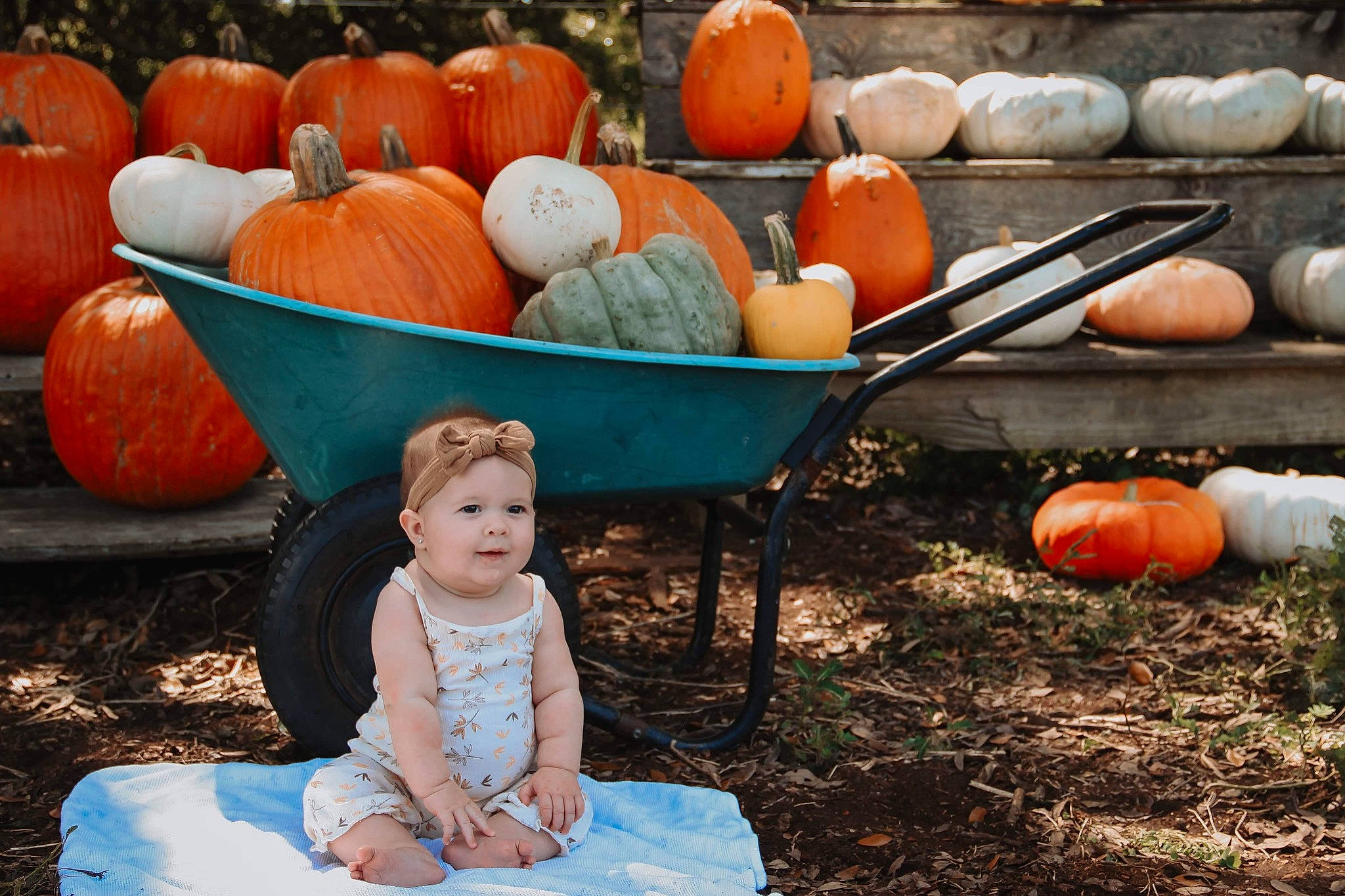 Lily is registered to the contest to win money with this photo: calabaza, cucurbita, gourd, grass, green, happy, headwear, leisure, local_food, natural_foods, orange, people, people_in_nature, person, plant, pumpkin, squash, vegetable, vertebrate, whole_food