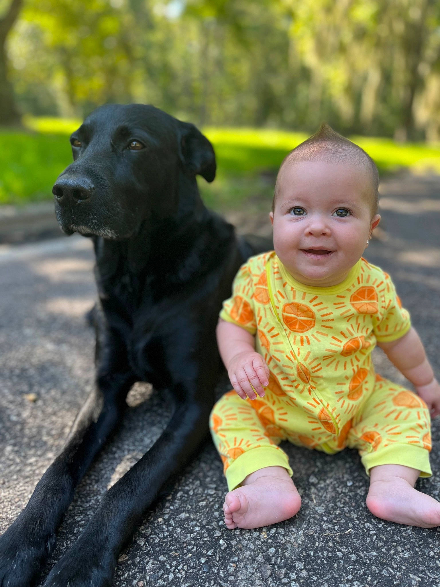 Lily is registered to the contest to win money with this photo: baby, baby_toddler_clothing, carnivore, child, companion_dog, dog, dog_breed, foot, fun, fur, grass, guard_dog, happy, joy, people_in_nature, person, sitting, smile, sporting_group, t_shirt