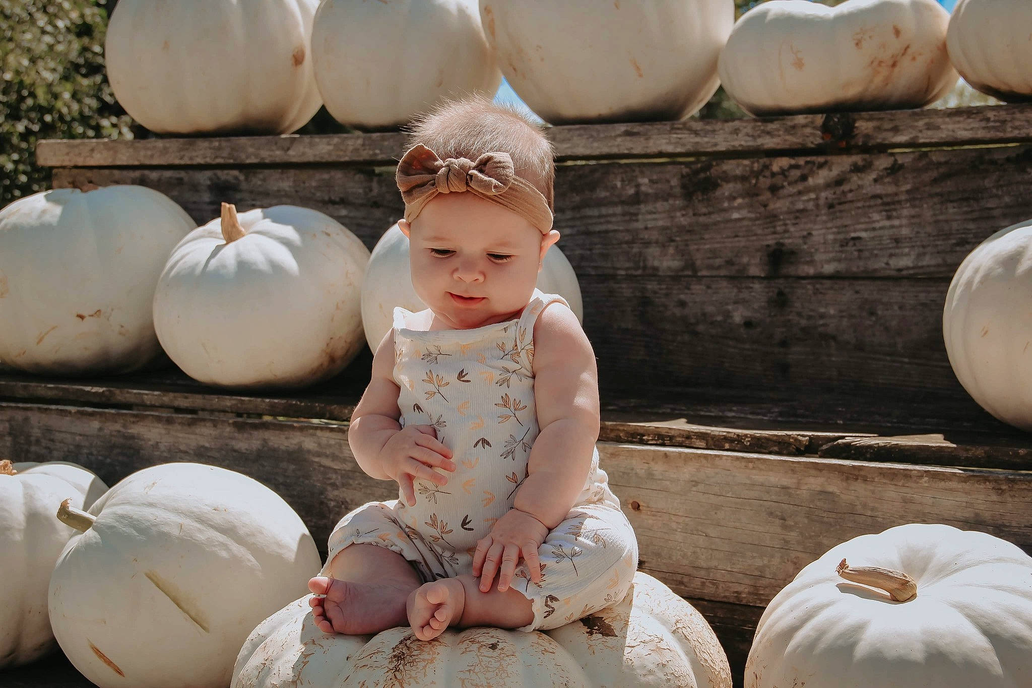 Lily is registered to the contest to win money with this photo: art, baby_toddler_clothing, calabaza, cucurbita, event, gourd, happy, headgear, headwear, mammal, natural_foods, people, person, photograph, plant, pumpkin, sitting, squash, toy, white