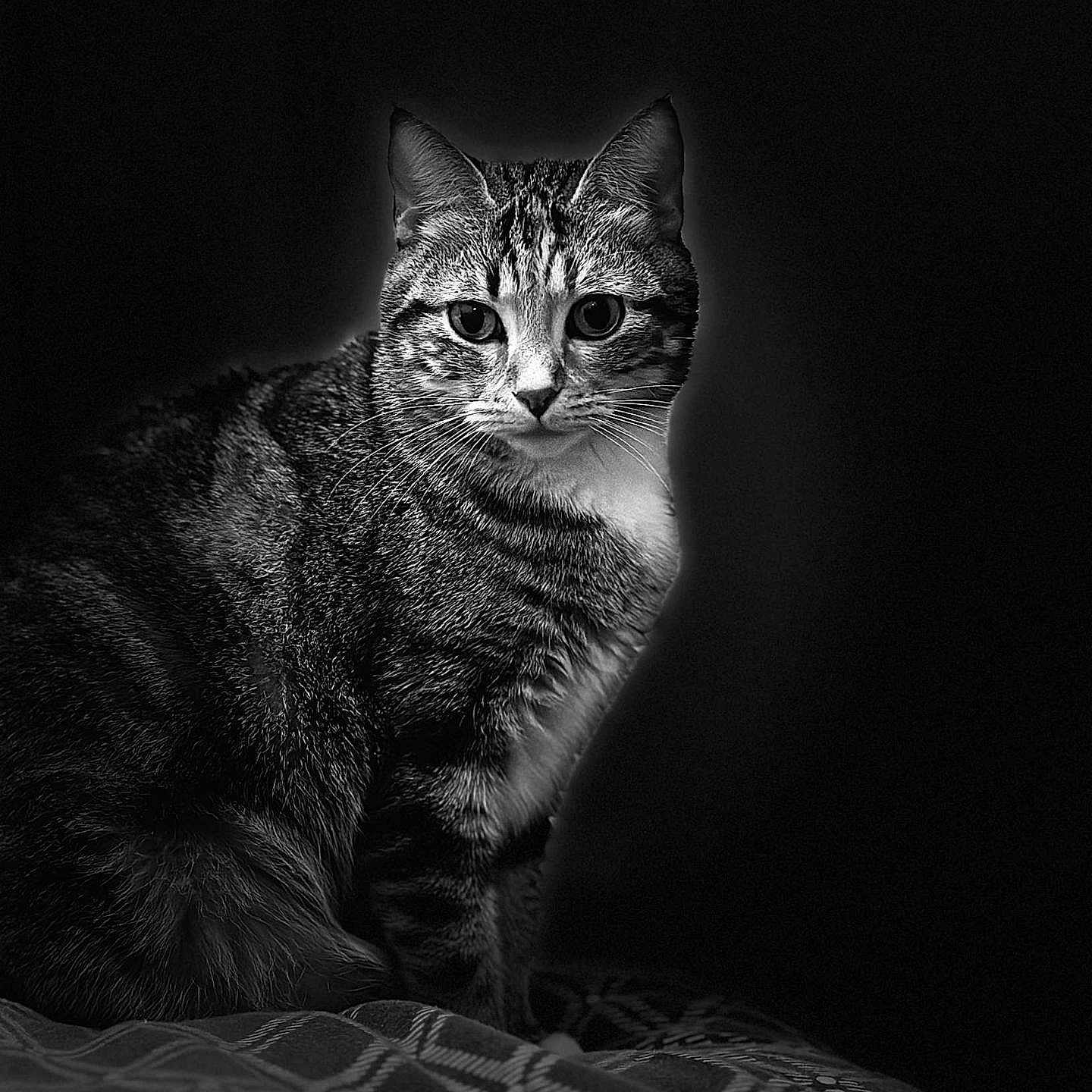 Nalla