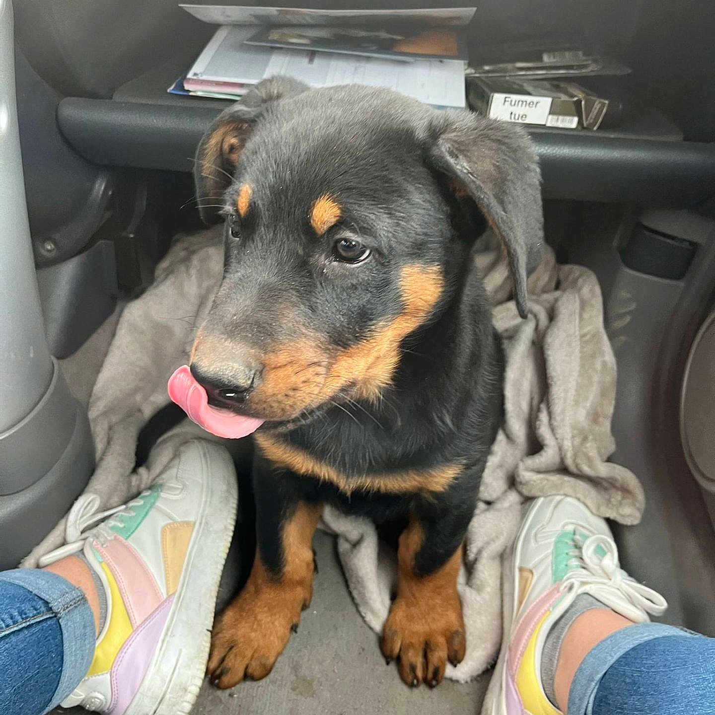 Ayka