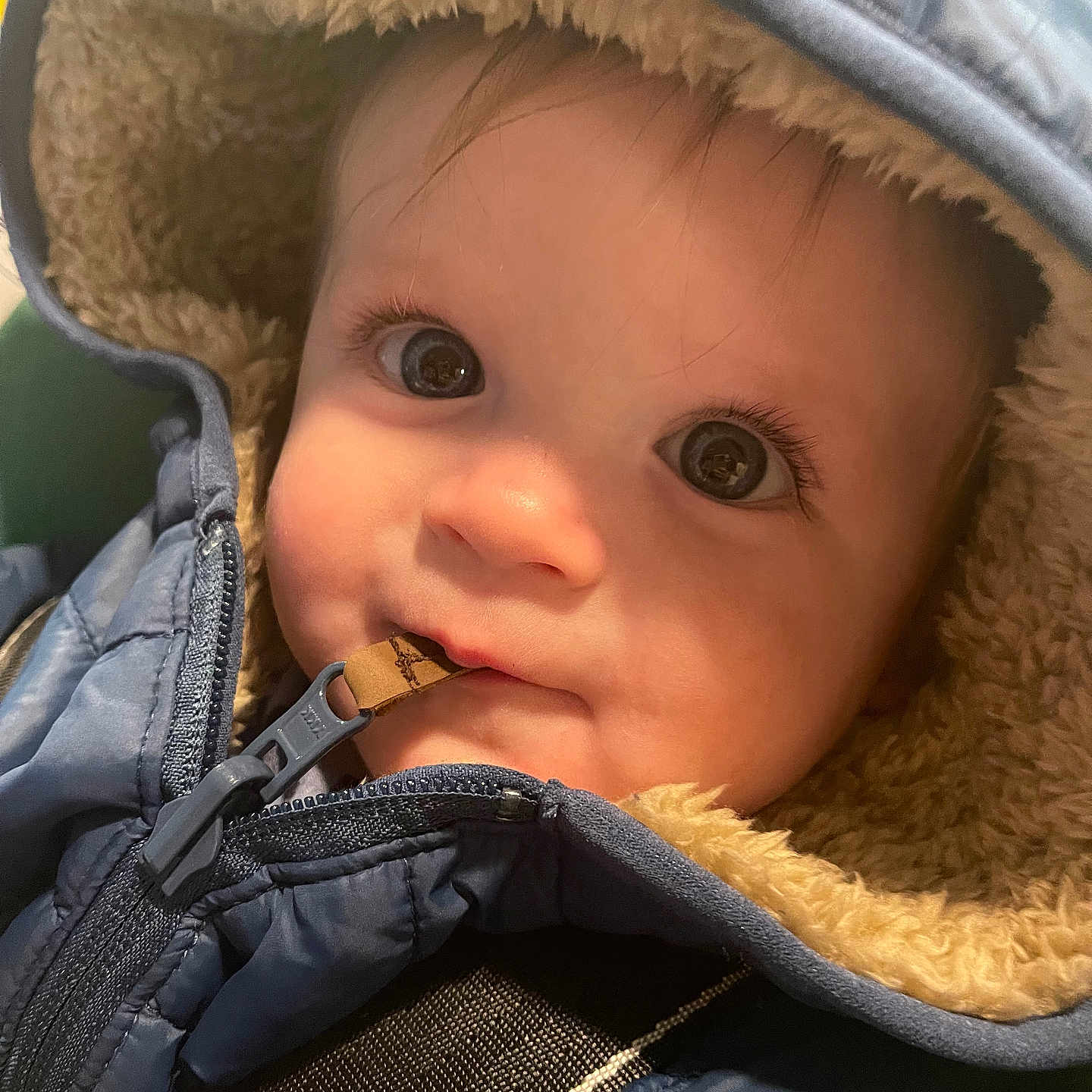 Jasper joined the competition — help win amazing prizes! baby, biting, bonnet, cap, clothing, coat, face, happy, hat, head, hood, hoodie, jacket, knitwear, person, photography, portrait, smile, sweater, sweatshirt