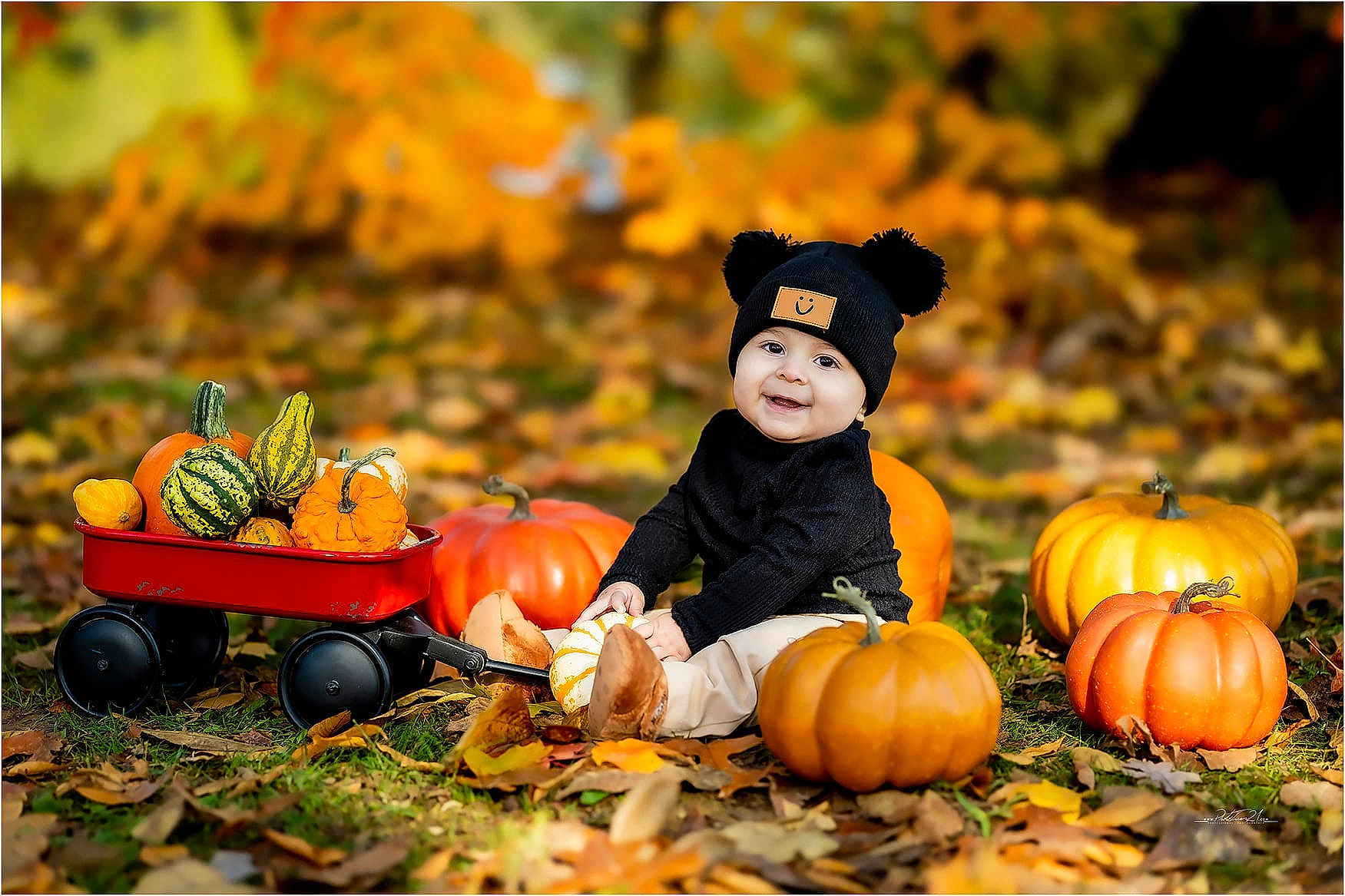 Dylan is registered to the contest to win money with this photo: baby, child, pumpkin, autumn, fall_leaves, red_wagon, gourds, black_hat, smiling, outdoor, grass, seasonal, cute, happy, nature, sitting, portrait, warm_colors, hat_with_pom_poms, fall_season