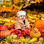 Dylan is registered to the contest to win money with this photo: baby, child, autumn, fall, pumpkins, leaves, outdoor, seasonal, nature, smiling, cute, beret, coat, festive, colorful, happy, portrait, sitting, holiday, park