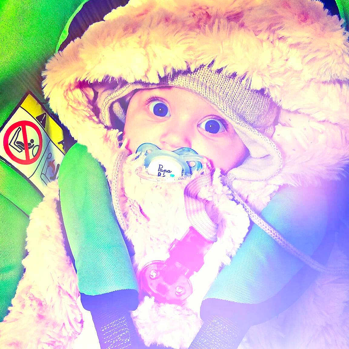 Lilia