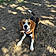 Lady Skye