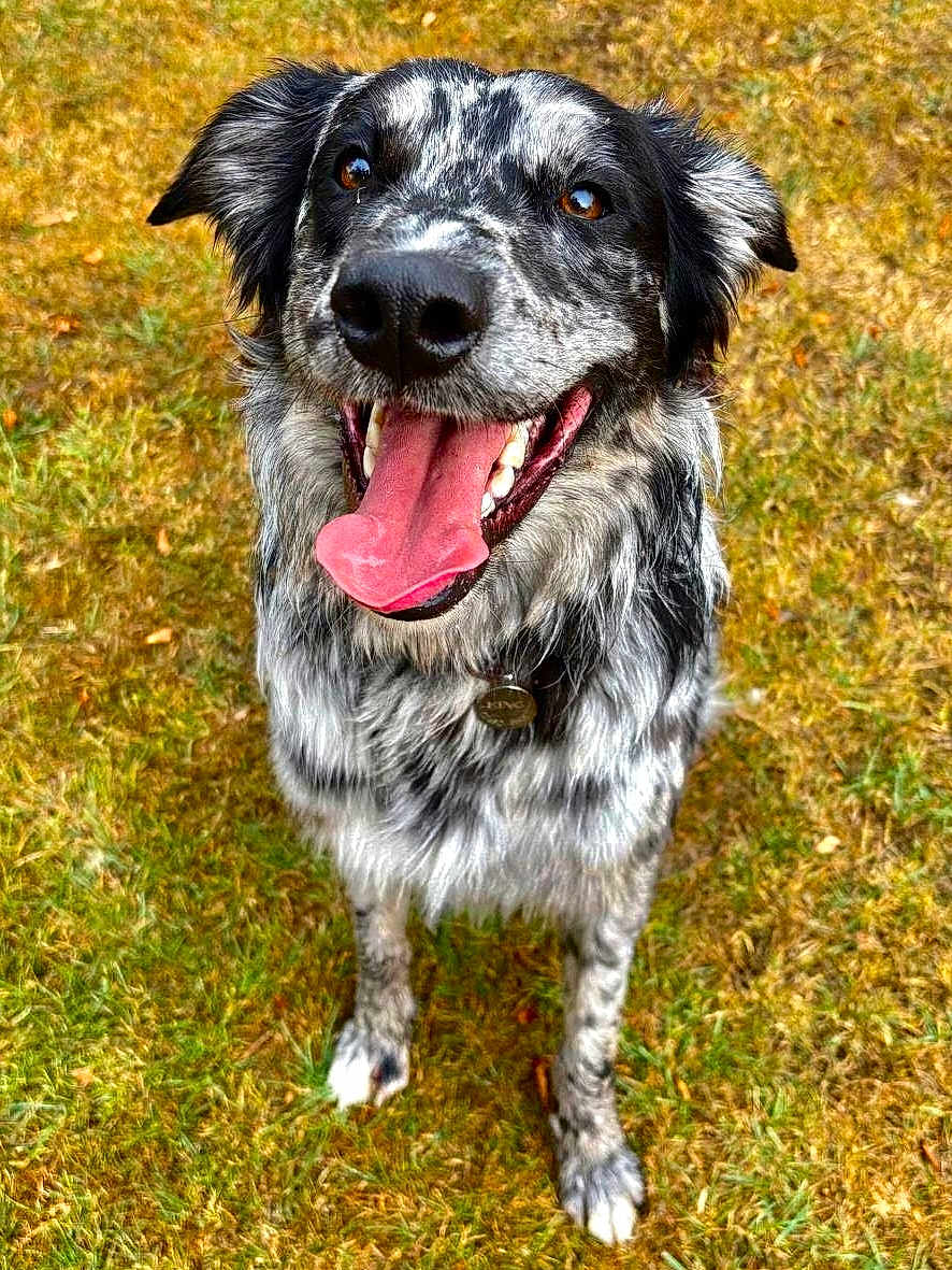 Jaxson