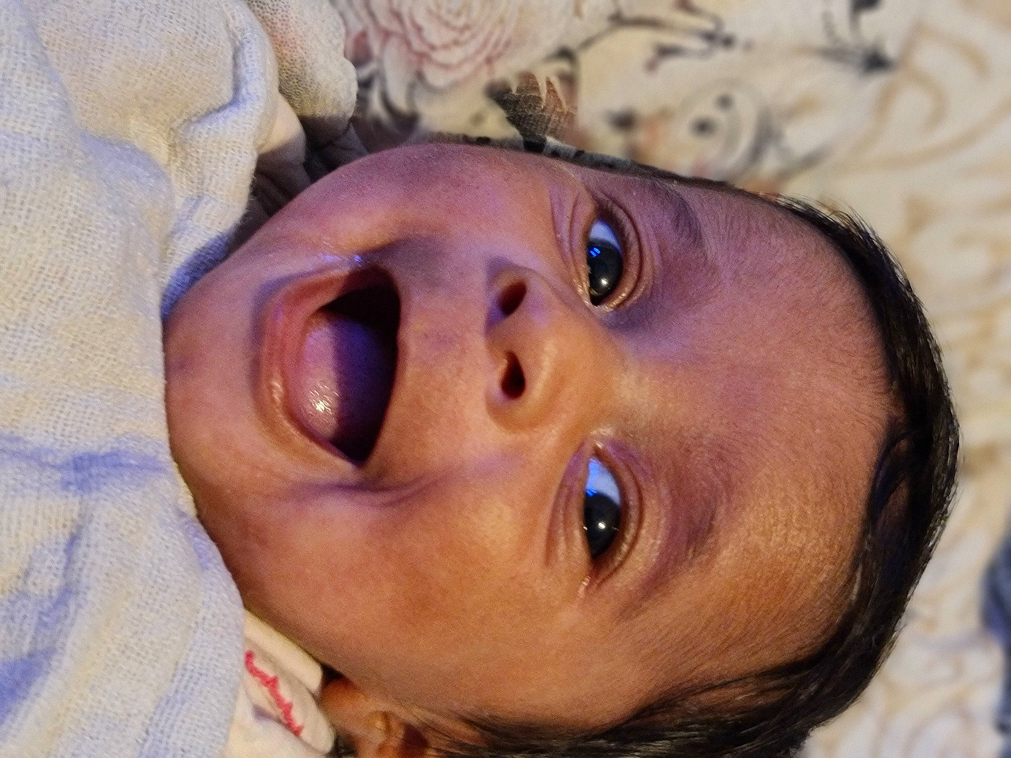 Soleya a rejoint le concours — aidez-le/la à gagner de superbes lots ! baby, cheek, chin, ear, eye, eyebrow, eyelash, face, forehead, happy, head, human_body, iris, lip, mouth, neck, nose, person, skin, smile