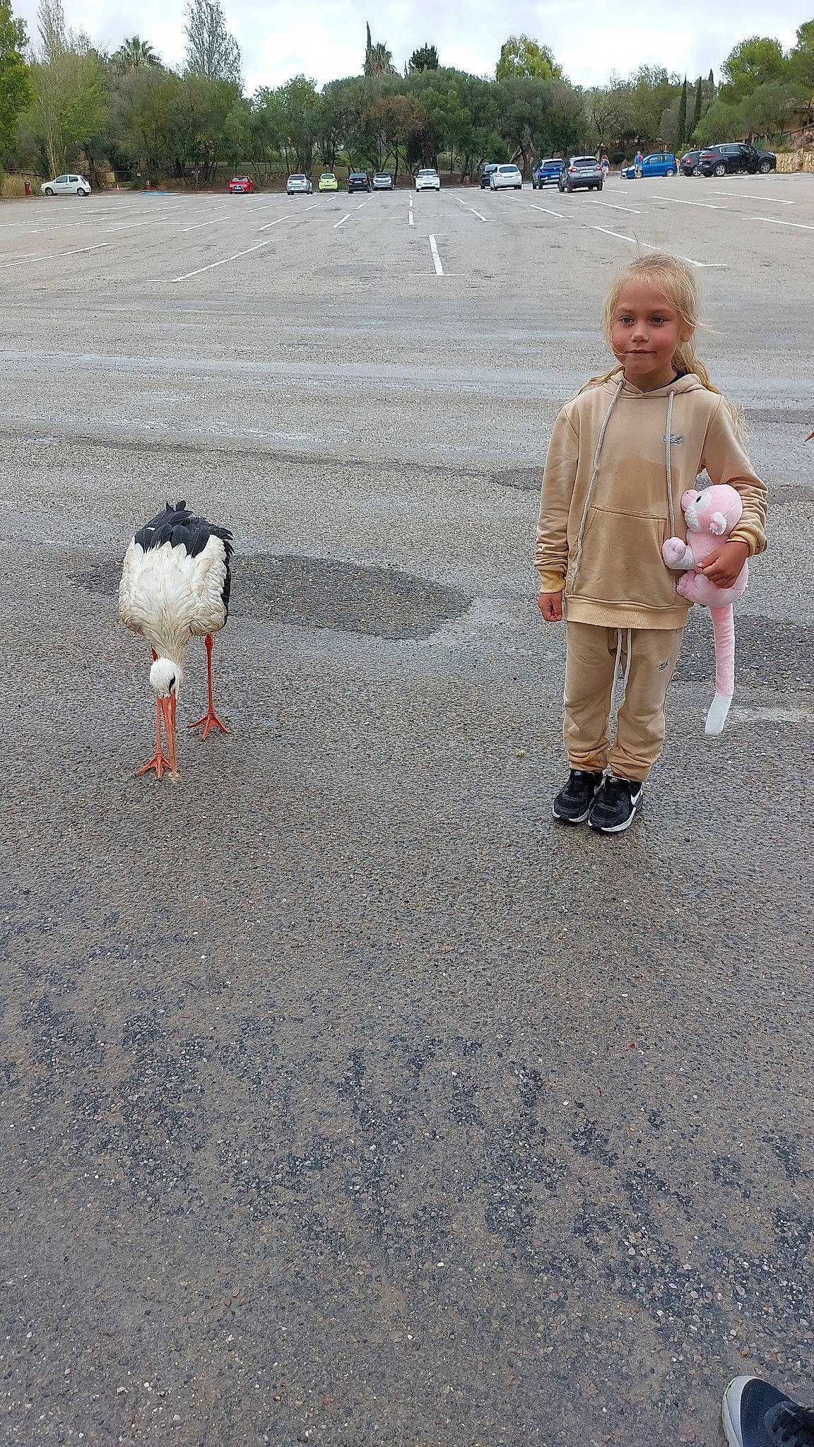Shanna a rejoint le concours — aidez-le/la à gagner de superbes lots ! asphalt, beak, bird, city, grass, joy, landscape, leg, pedestrian, people, person, poultry, recreation, road, road_surface, sidewalk, soil, toddler, tree, vacation