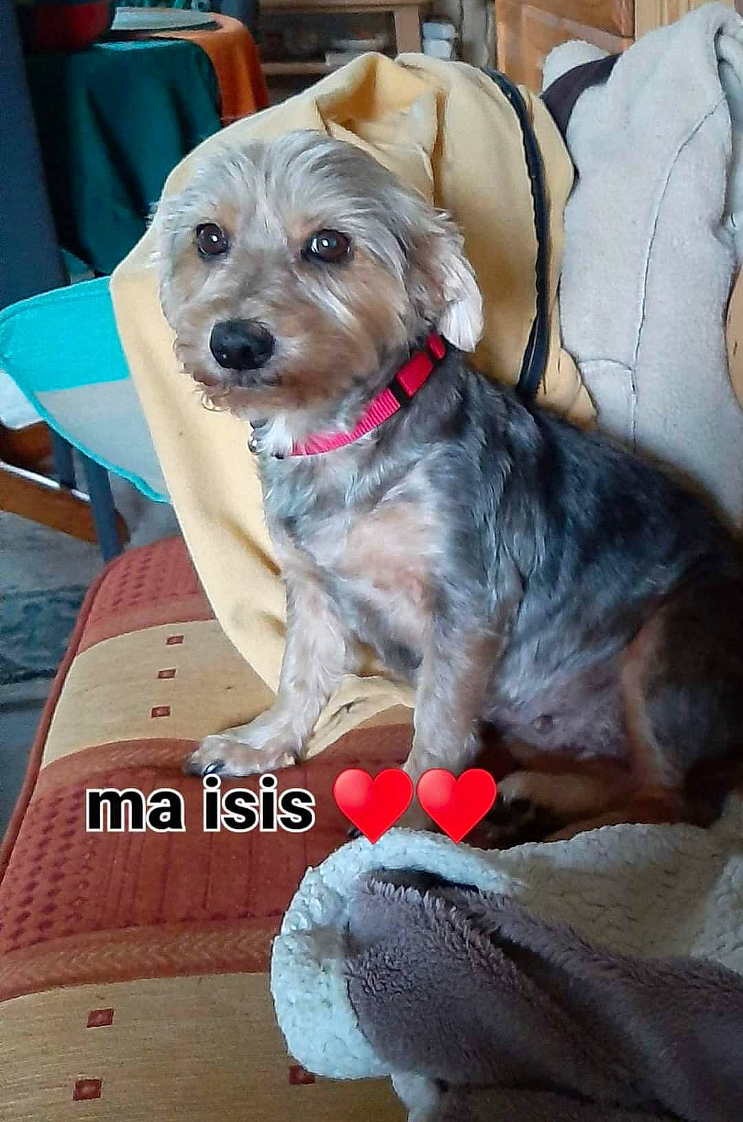 Isis Ma Fille