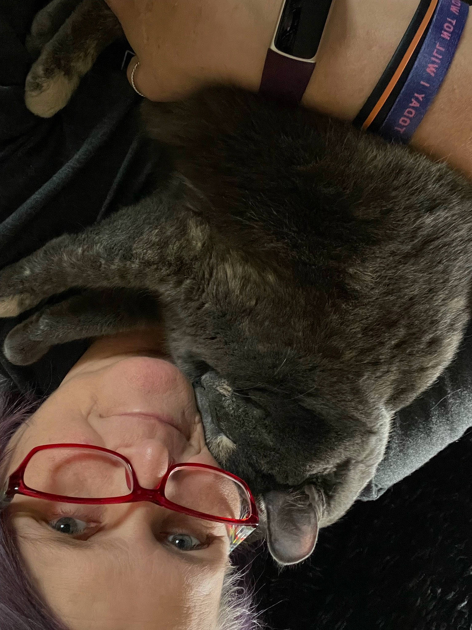 Luna is registered to the contest to win money with this photo: carnivore, comfort, cool, eyelash, felidae, finger, gesture, glasses, hand, human_leg, jaw, leg, mammal, muscle, selfie, skin, snout, thigh, vision_care, working_animal