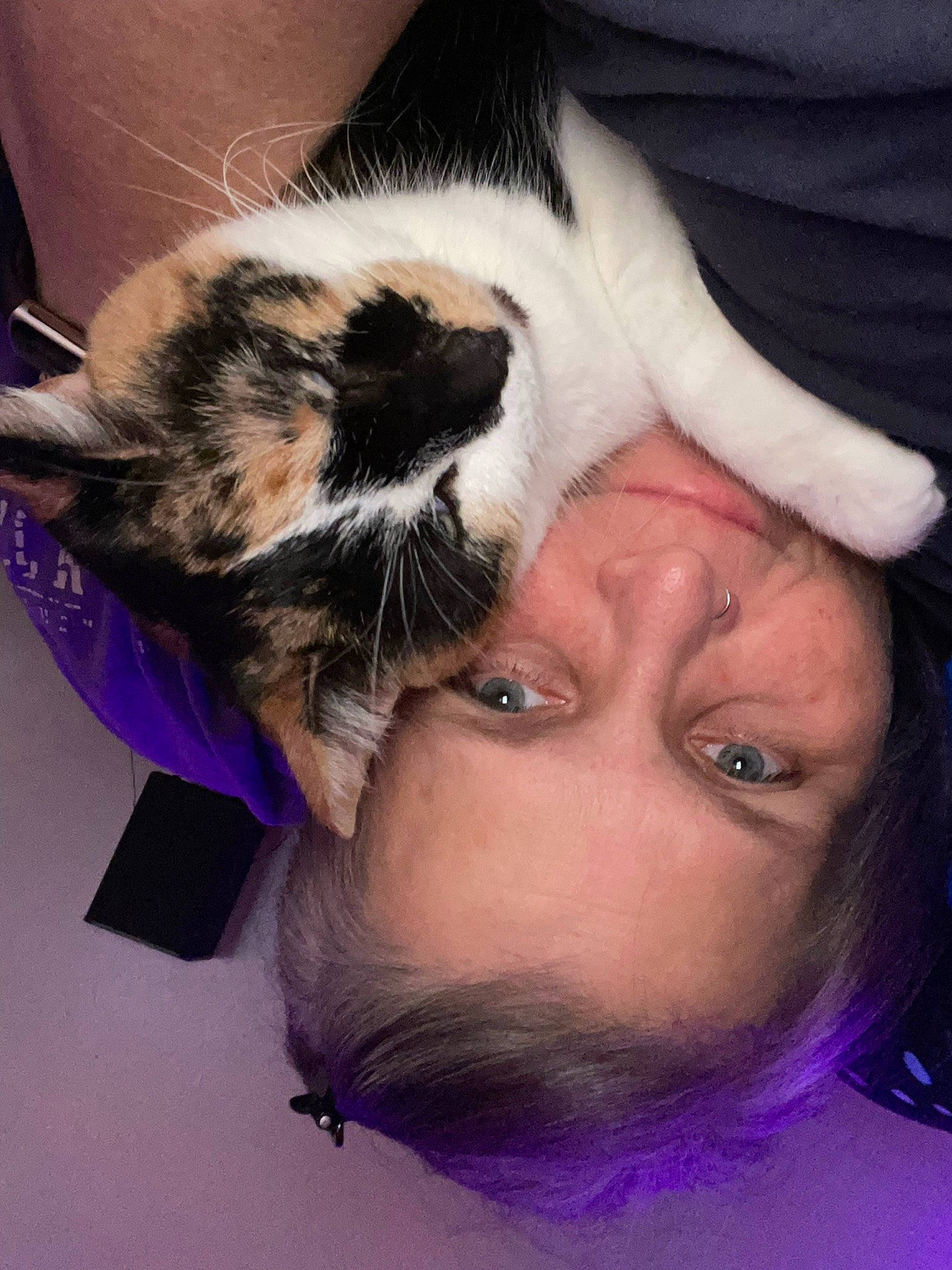 Kammi joined the competition — help win amazing prizes! beard, black_hair, carnivore, cat, comfort, ear, eyebrow, eyelash, fawn, felidae, gesture, hair, jaw, neck, nose, small_to_medium_sized_cats, snout, sunglasses, textile, whiskers