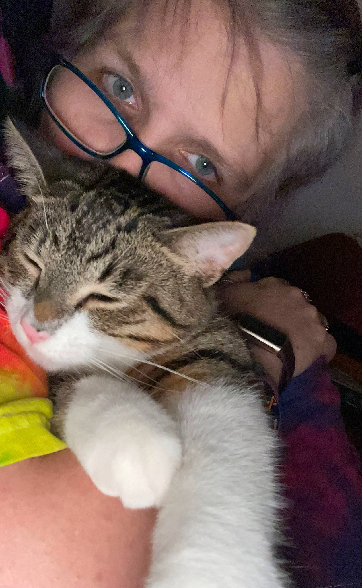 Burrow is registered to the contest to win money with this photo: carnivore, cat, comfort, ear, eye, eyewear, felidae, gesture, glasses, hair, hand, head, iris, nose, organ, skin, small_to_medium_sized_cats, snout, vision_care, whiskers