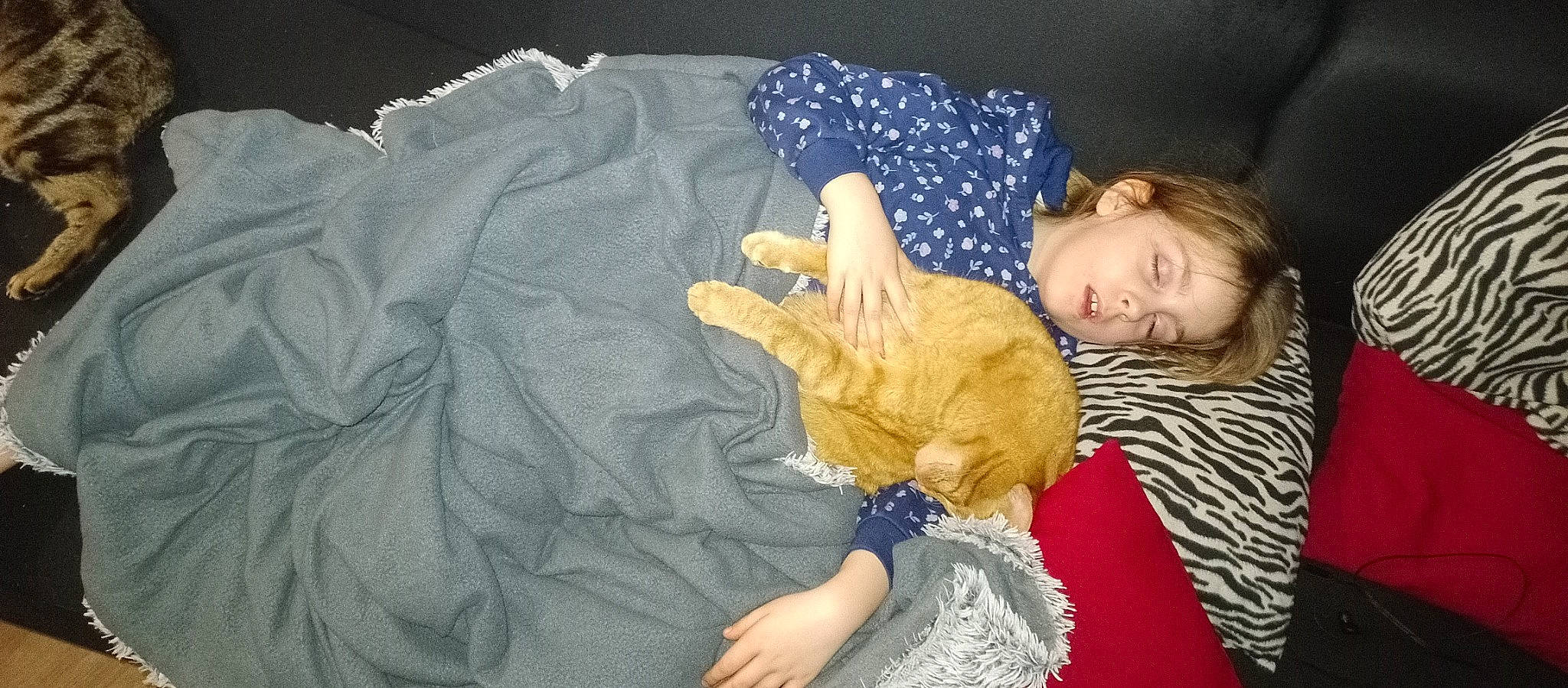 Roucki participe au concours pour gagner de l'argent avec cette photo : bed, bedding, carnivore, cat, comfort, domestic_short_haired_cat, fawn, felidae, fur, gesture, lap, linens, nail, room, small_to_medium_sized_cats, stuffed_toy, tail, teddy_bear, toy, whiskers