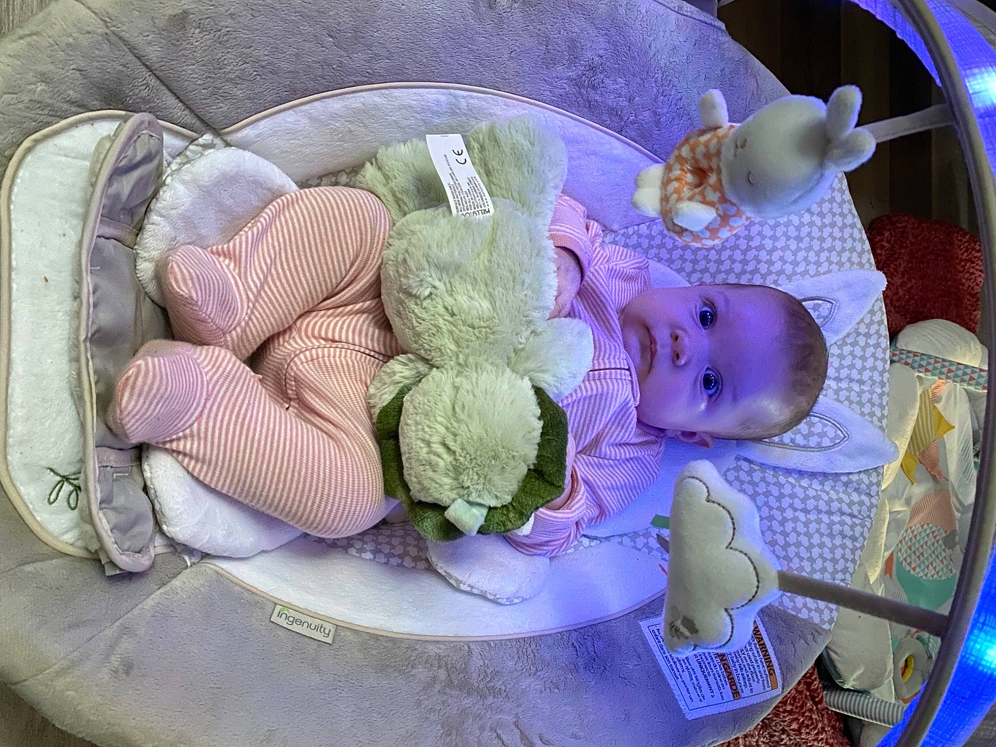 Sylvia joined the competition — help win amazing prizes! baby, blue, child, cuisine, food, person, purple, vegetable