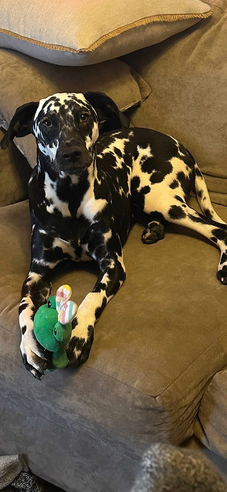 Jax