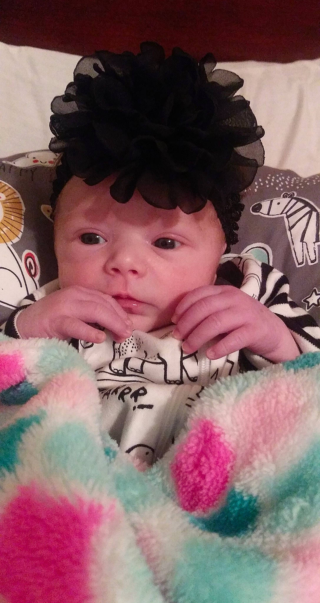 Paisley