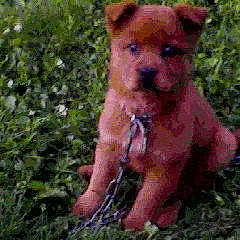 Cocoa joined the competition — help win amazing prizes!