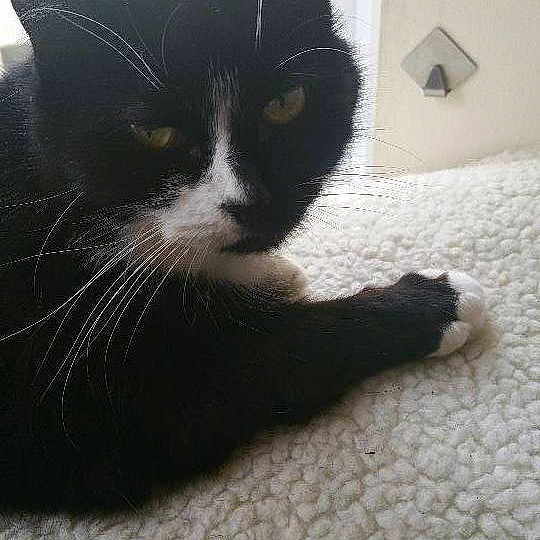 Eve is registered to the contest to win money with this photo: