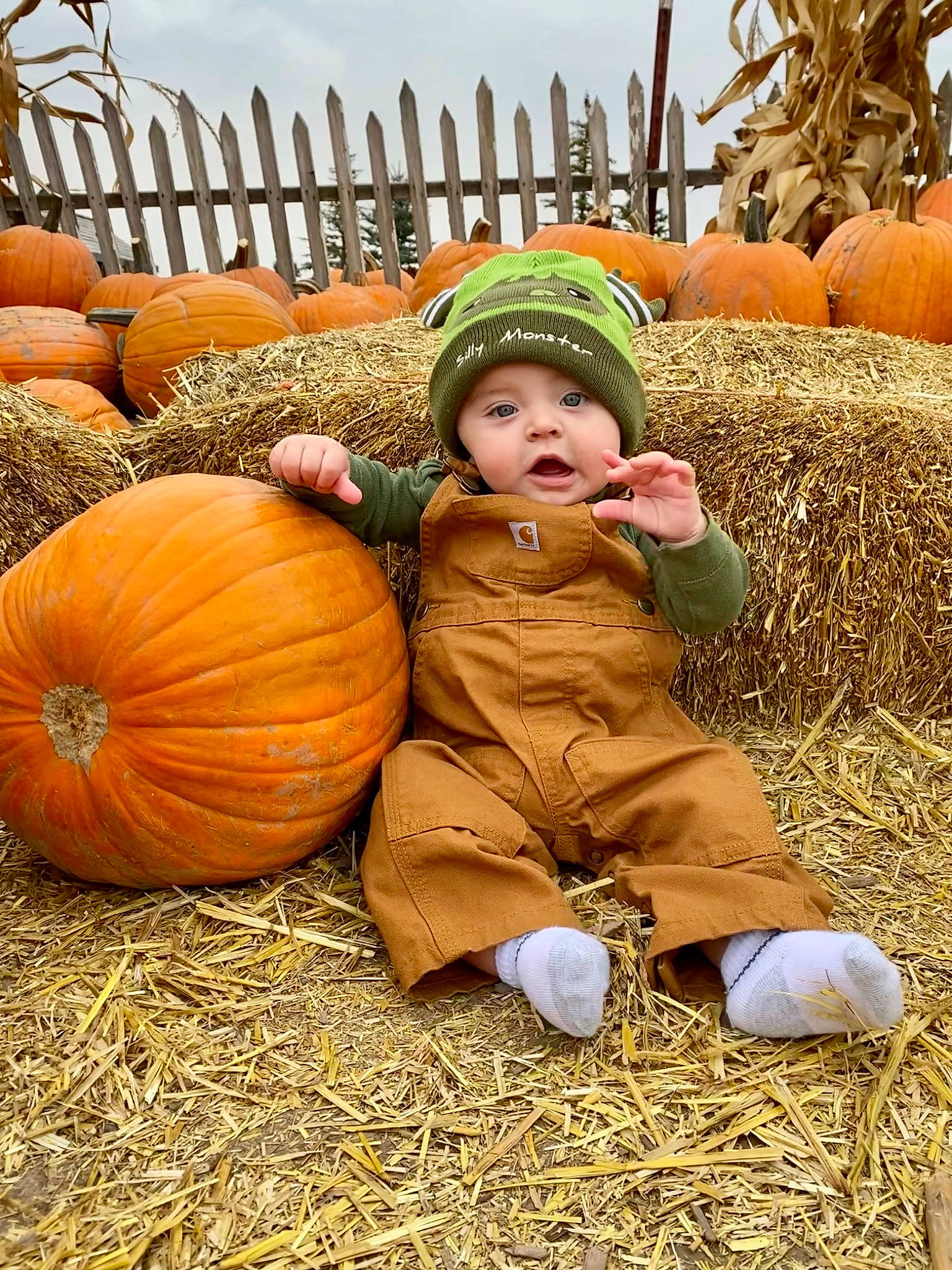Dominic joined the competition — help win amazing prizes! agriculture, calabaza, cucurbita, gourd, grass, happy, hay, headwear, local_food, natural_foods, people_in_nature, person, photograph, plant, pumpkin, sitting, sky, squash, toddler, vegetable
