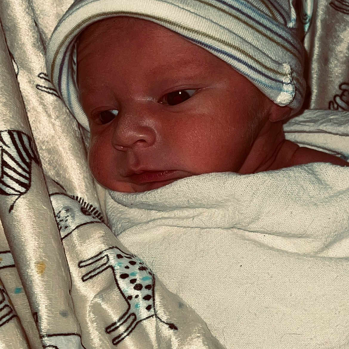 Lyric is registered to the contest to win money with this photo: newborn, baby, infant, blanket, hat, face, sleepwear, patterned_fabric, animal_print, wrapped, cozy, closeup, portrait, baby_clothing, soft_texture, resting, cute, indoors, child, young