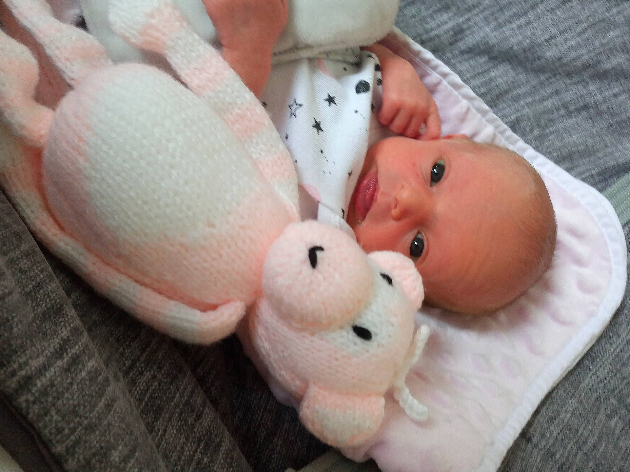 Lily-rose is registered to the contest to win money with this photo: baby, child, person, plush, stuffed_toy, toy