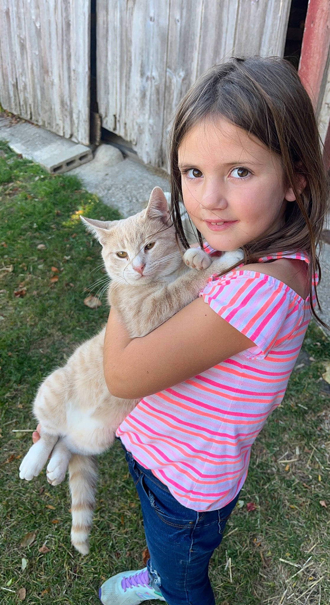 Julianna is registered to the contest to win money with this photo: carnivore, cat, child, claw, domestic_short_haired_cat, fawn, felidae, fur, gesture, grass, happy, mammal, paw, person, plant, sitting, small_to_medium_sized_cats, smile, tail, toddler