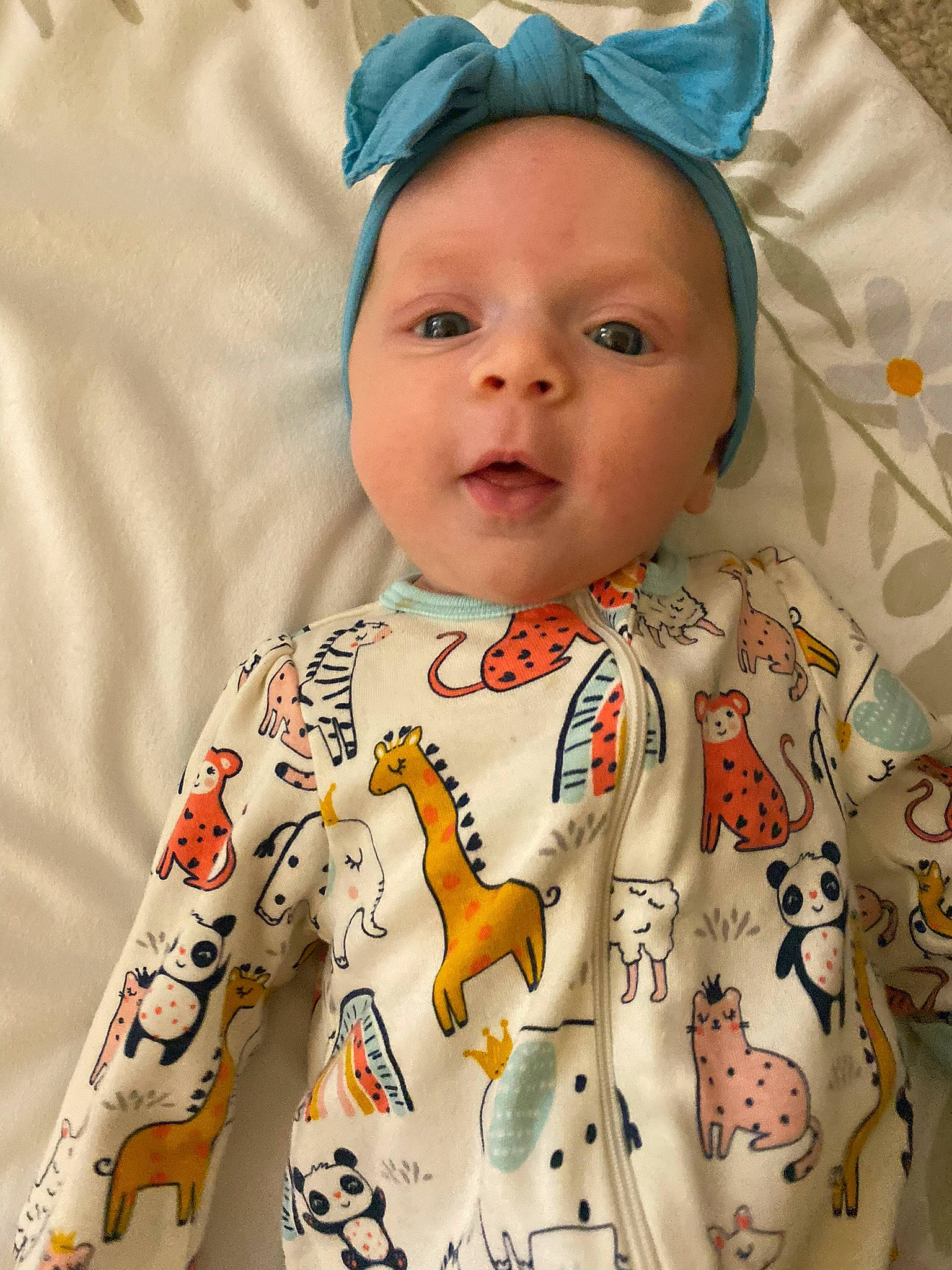 Harlow is registered to the contest to win money with this photo: baby, baby_toddler_clothing, cheek, child, clothing, collar, eye, face, happy, headgear, headwear, organ, outerwear, pattern, person, photograph, skin, sleeve, t_shirt, textile